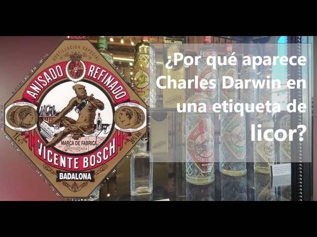 botella de anis del mono