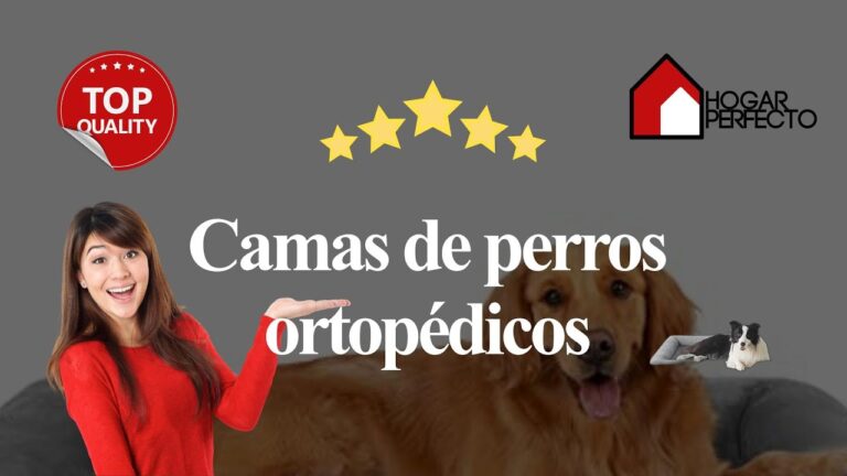 camas de perro para humanos