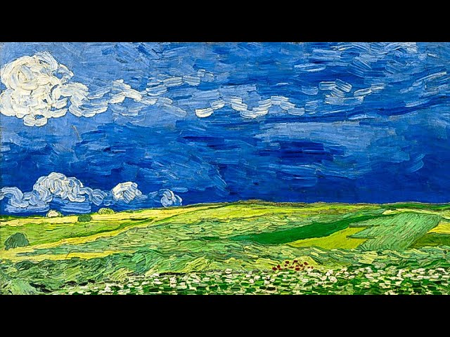 campo de trigo bajo el cielo nublado