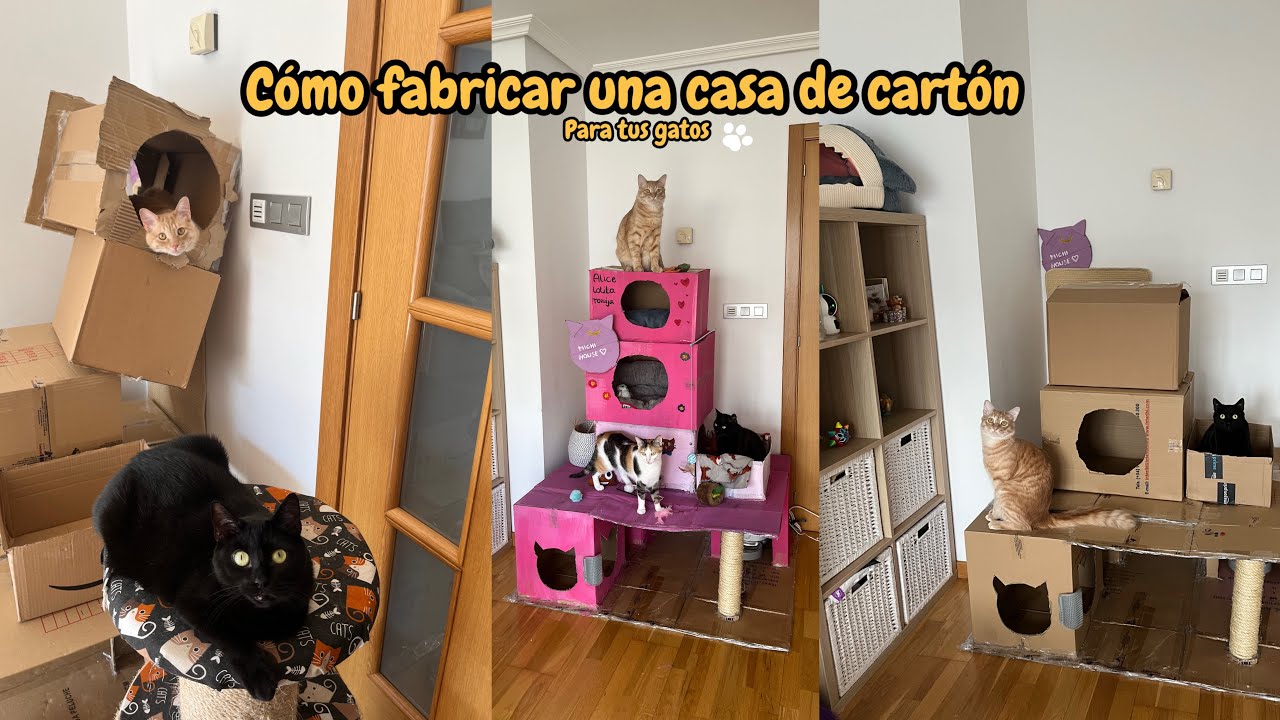 casa de carton para gato