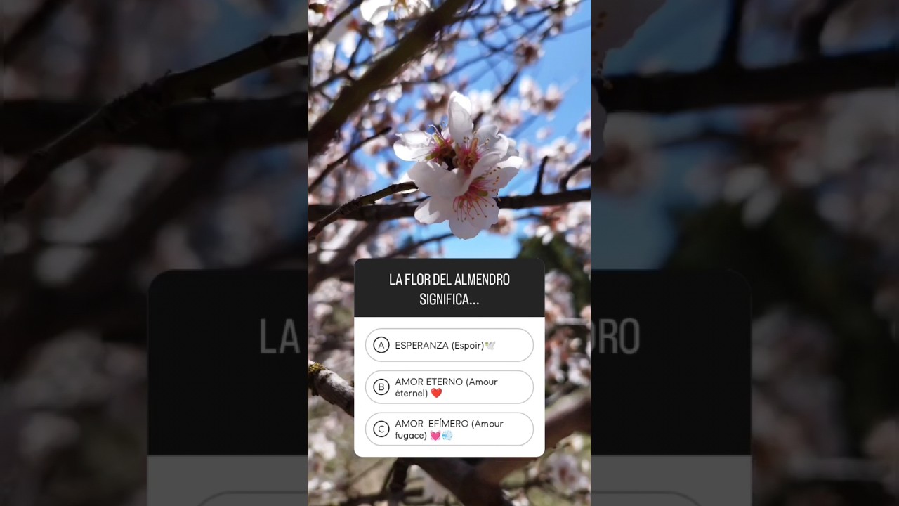 color de la flor del almendro