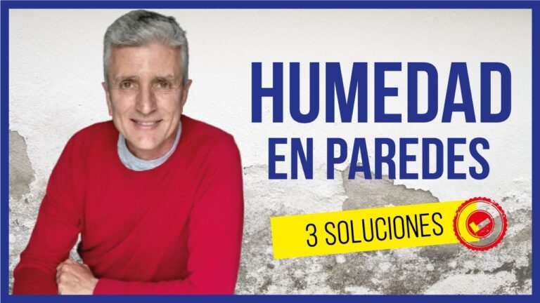 como eliminar la humedad de la pared