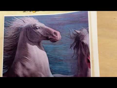 como saber si un cuadro tiene valor