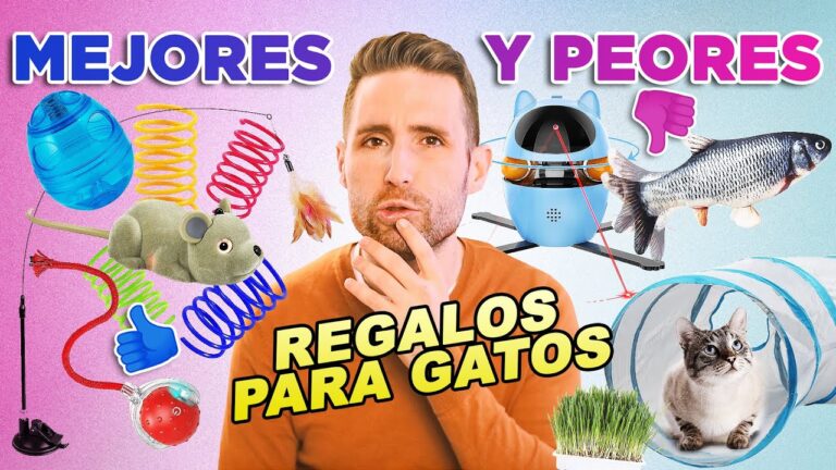 cosas de gatos para regalar