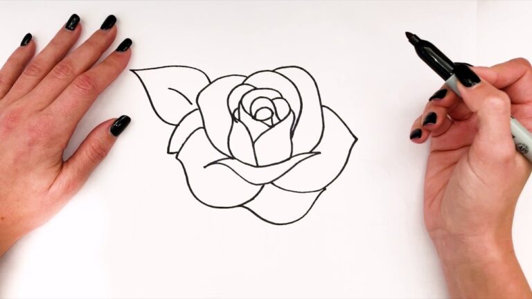 drawings of roses step by step