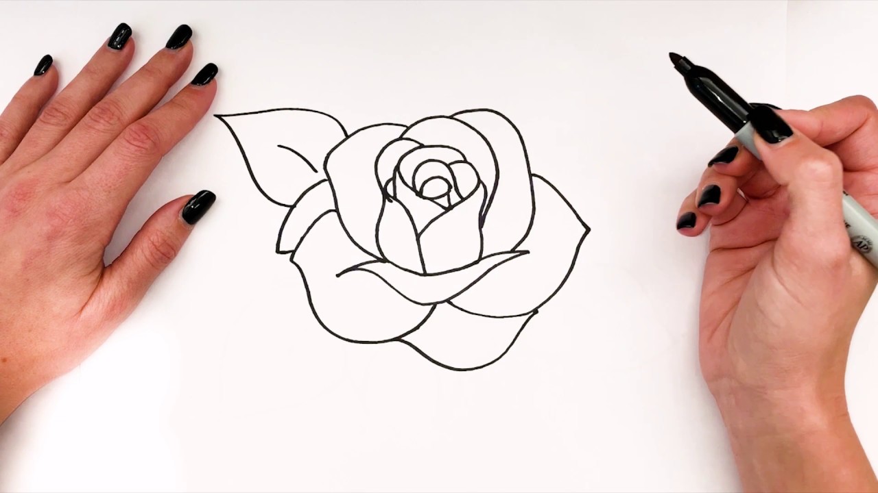 drawings of roses step by step