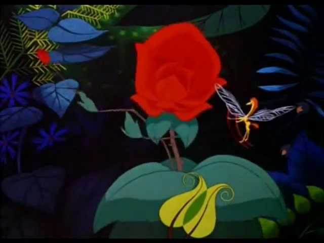 el jardín de las maravillas