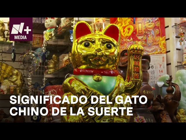 gato chino de la suerte