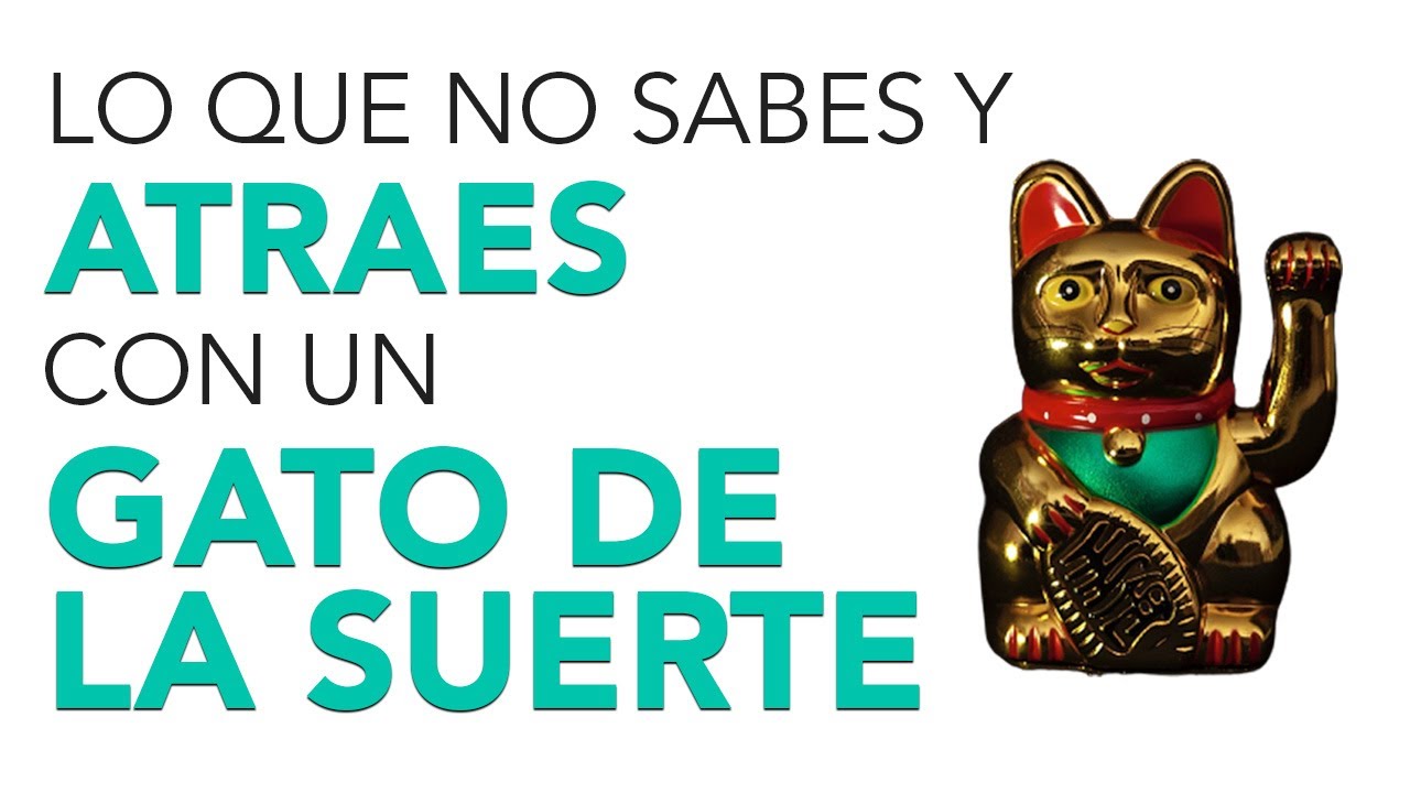 gato de la suerte colores significado