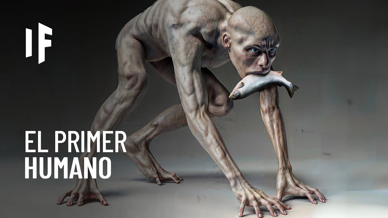 grafica de la evolucion del hombre