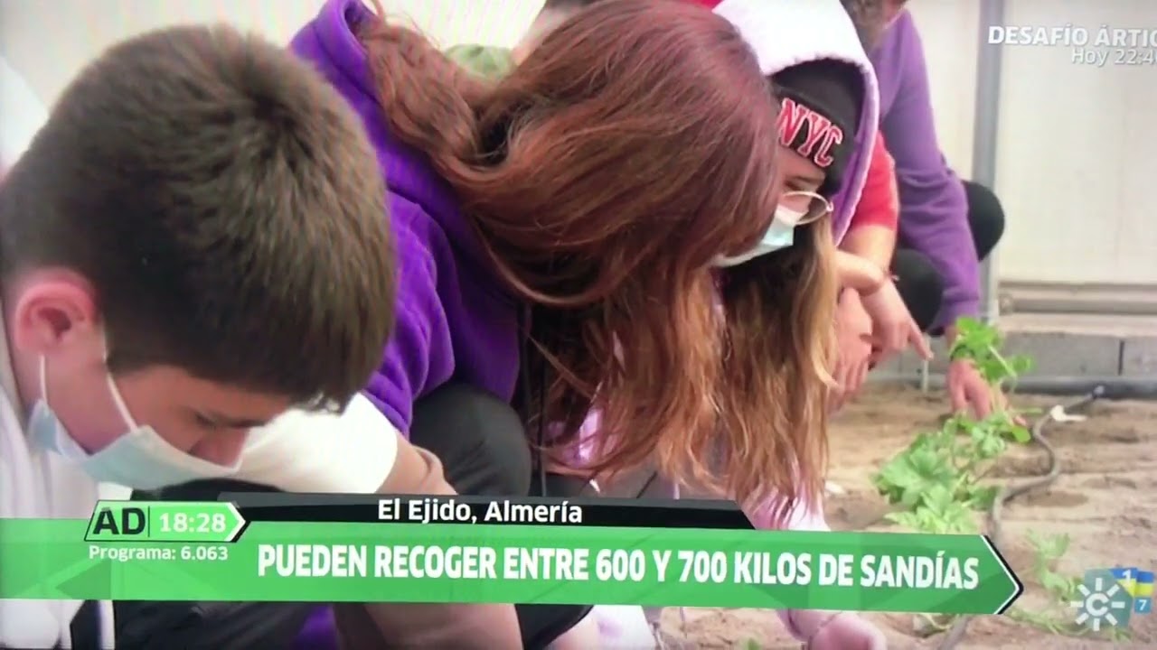 ies pablo ruiz picasso el ejido