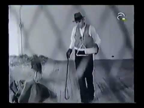 joseph beuys i like america and america likes me