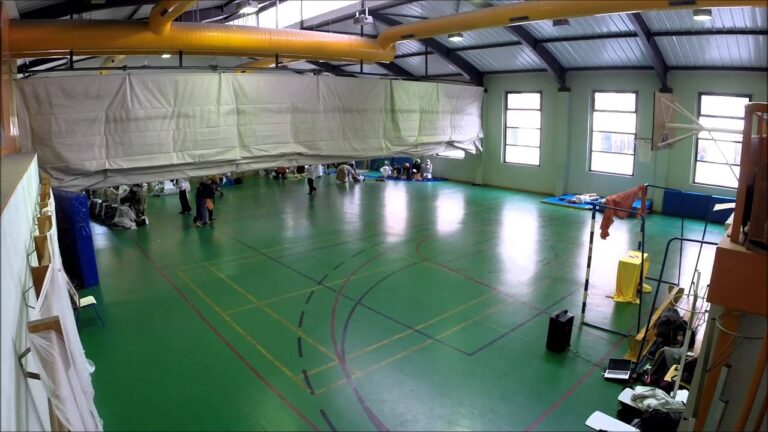 la llibertat guiant al poble