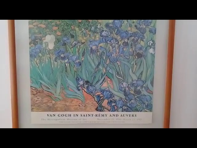 los lirios de van gogh