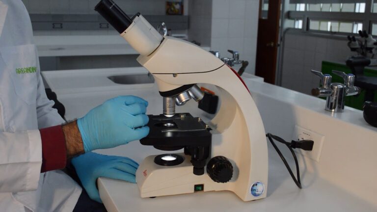 microscopio que sirve para contar los hilos de los tejidos