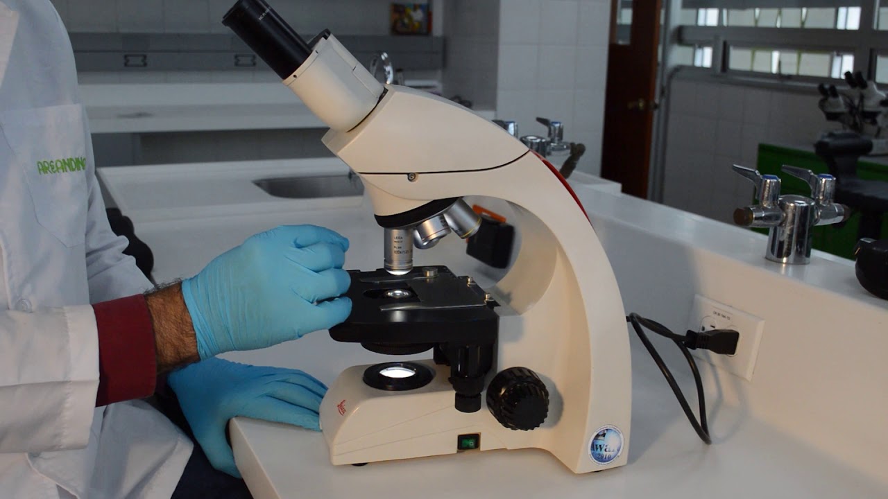 microscopio que sirve para contar los hilos de los tejidos