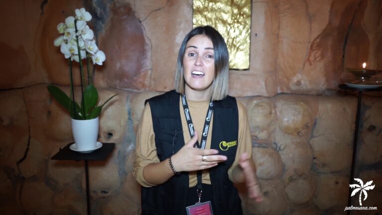 miquel barceló catedral de palma