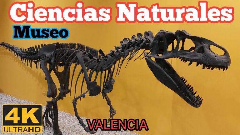 museo de las ciencias naturales valencia