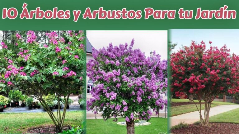 nombre de árbol con flores lilas