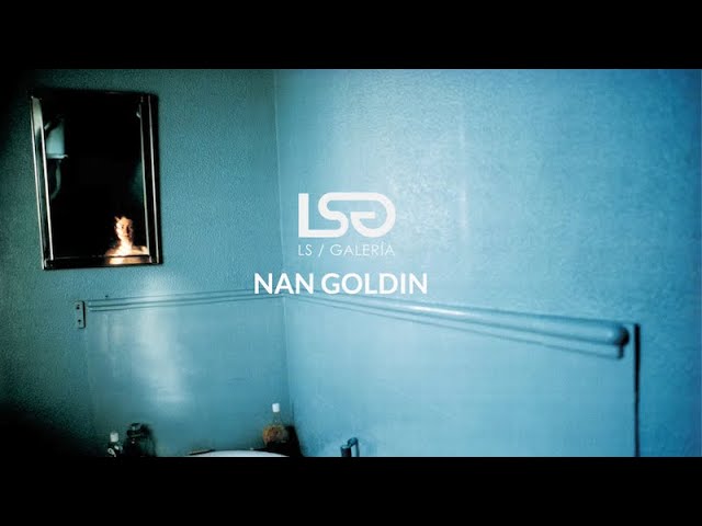 obras de arte de nan goldin