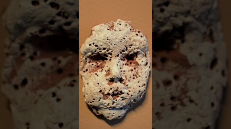 obres d'art de miquel barcelo