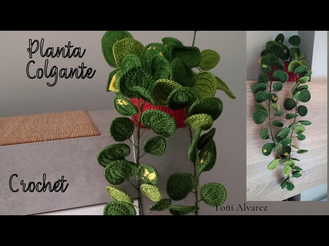 plantas de ganchillo patrones gratis