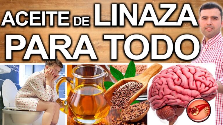 que es el aceite de linaza y para que sirve