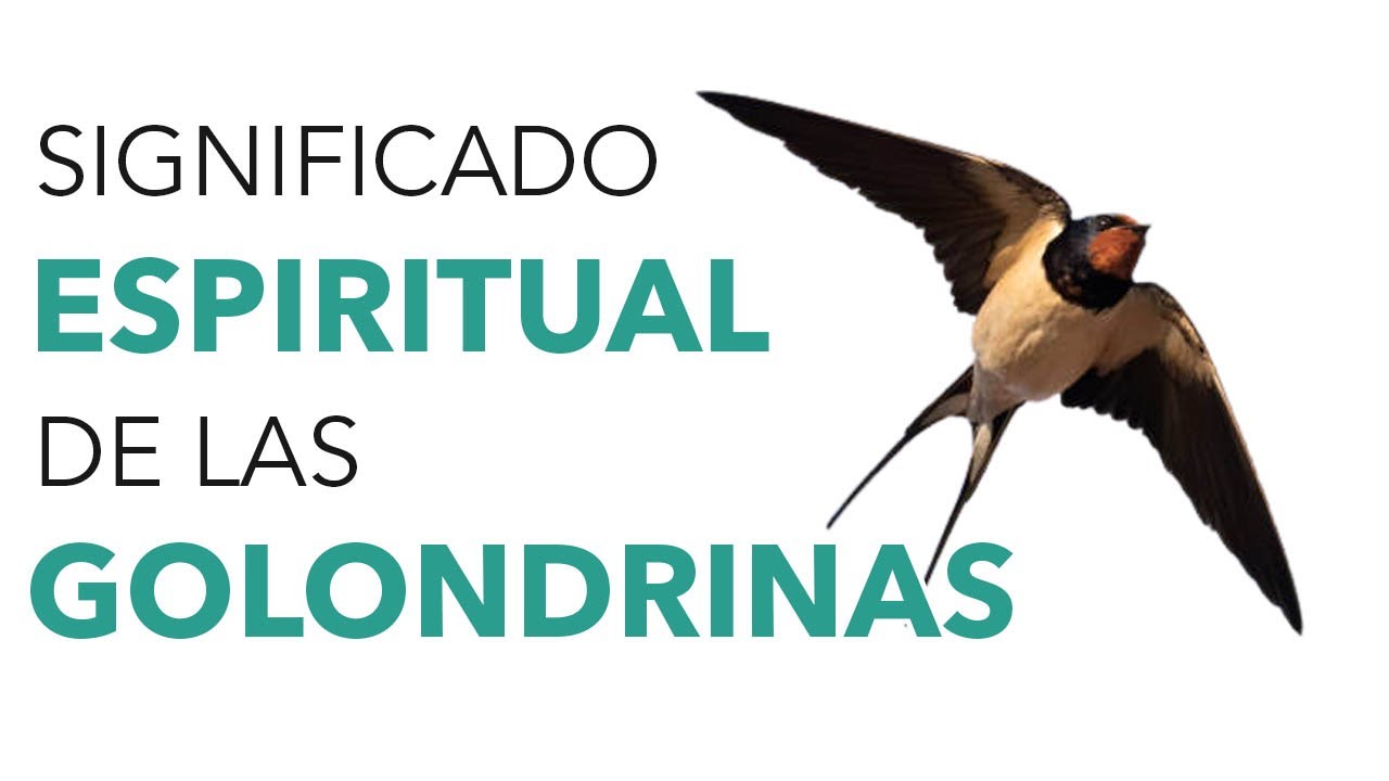 que significado tiene la golondrina