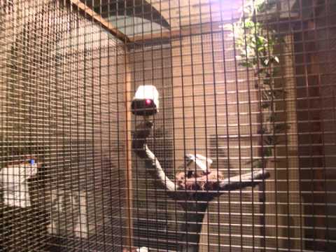 the mild mild west banksy