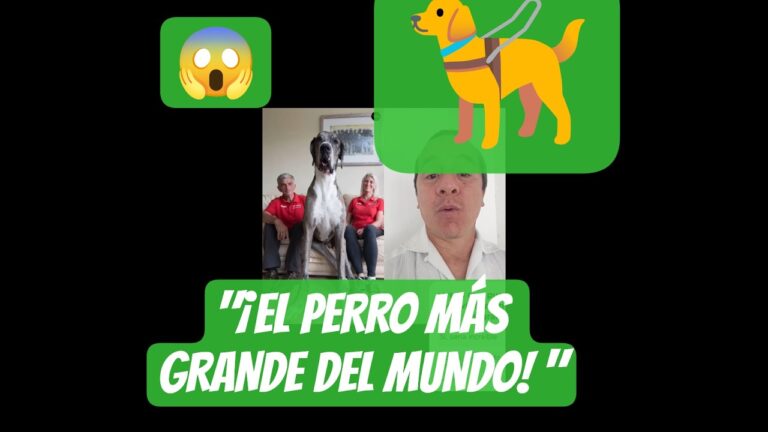 zeus perro más grande del mundo